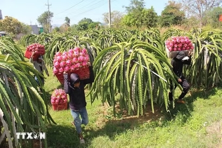 Viet Nam, U.K. advance strategic cooperation in agriculture, environment